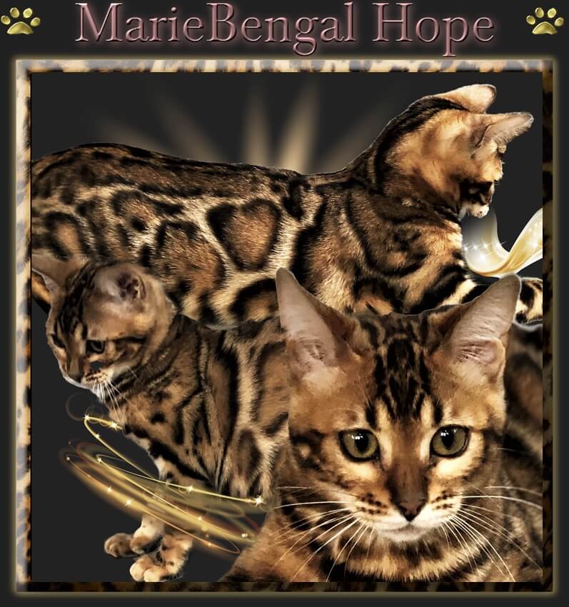 MarieBengal Hope